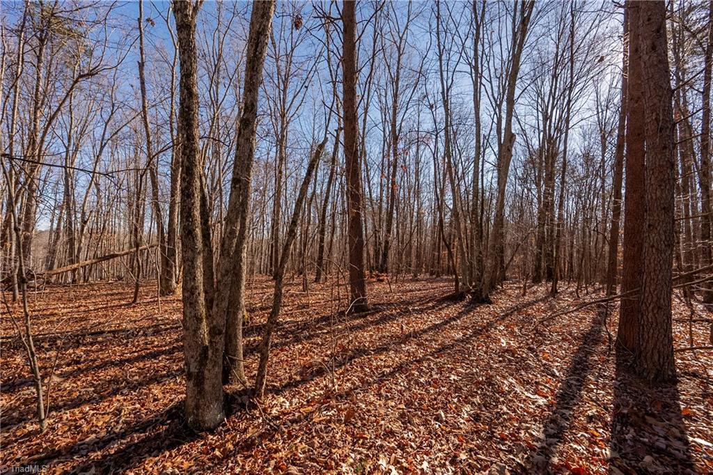 Brown Road, King, North Carolina image 8