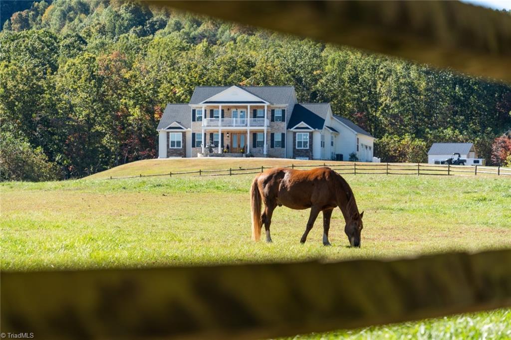 204 Violet Ridge Trail, Lowgap, North Carolina image 5