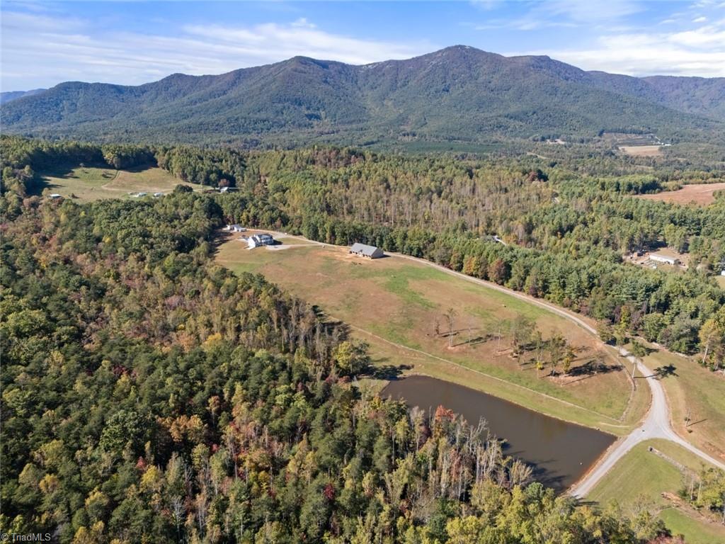 204 Violet Ridge Trail, Lowgap, North Carolina image 1