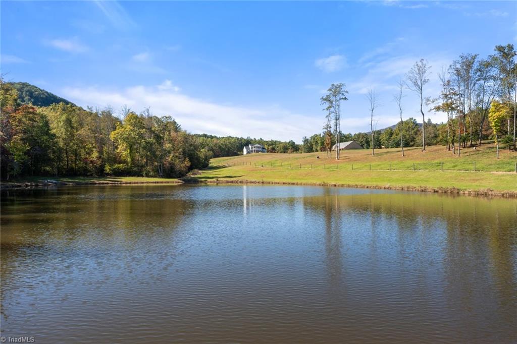 204 Violet Ridge Trail, Lowgap, North Carolina image 46