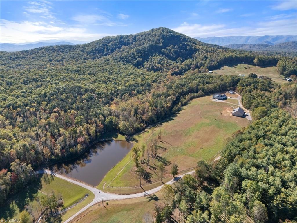 204 Violet Ridge Trail, Lowgap, North Carolina image 2