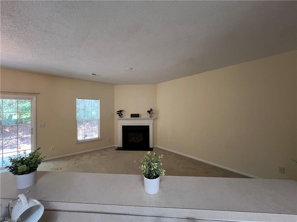 3931 Fountain Village Lane, High Point, North Carolina image 18