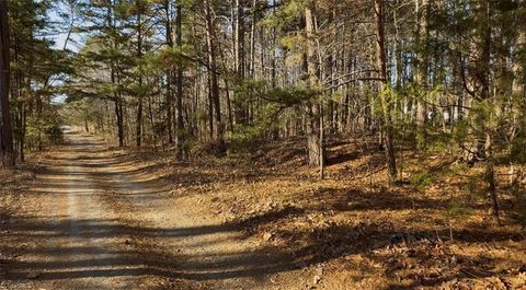 Vacant Land For Sale - First Park Avenue<br/> Randleman, NC 27317