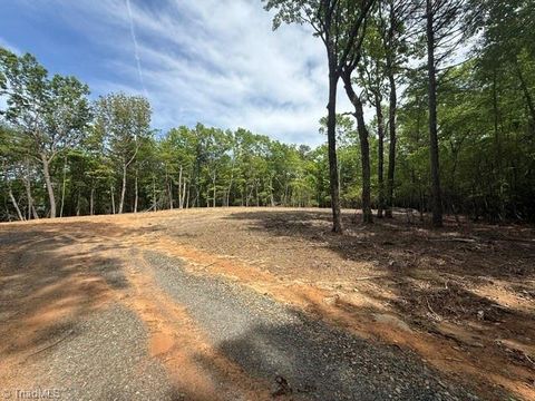 Vacant Land For Sale - 00 Chestnut Mountain Farms Parkway<br/> McGrady, NC 28649