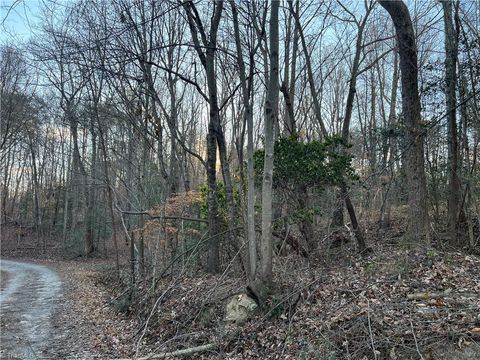 Vacant Land For Sale - 0000 Lynnhaven Road<br/> Surry County, Mount Airy, NC 27030