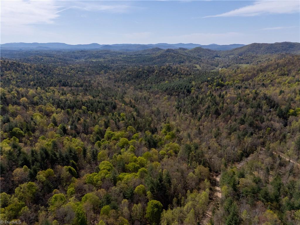 2668 Reedy Branch Road, Purlear, North Carolina image 36