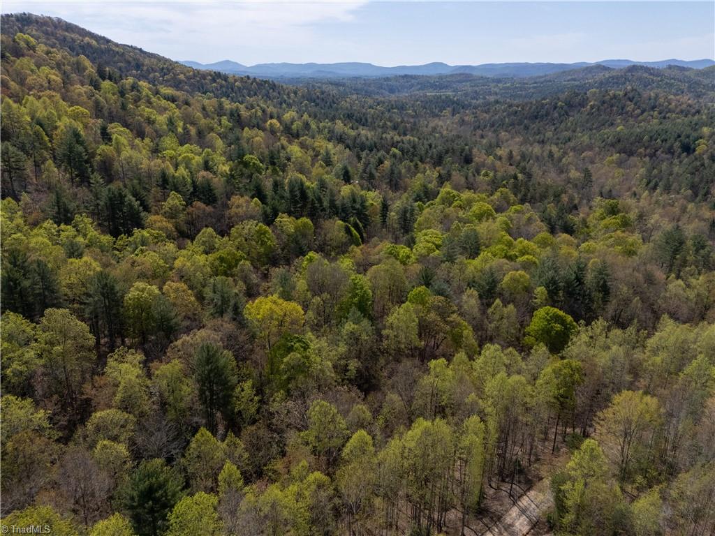 2668 Reedy Branch Road, Purlear, North Carolina image 2