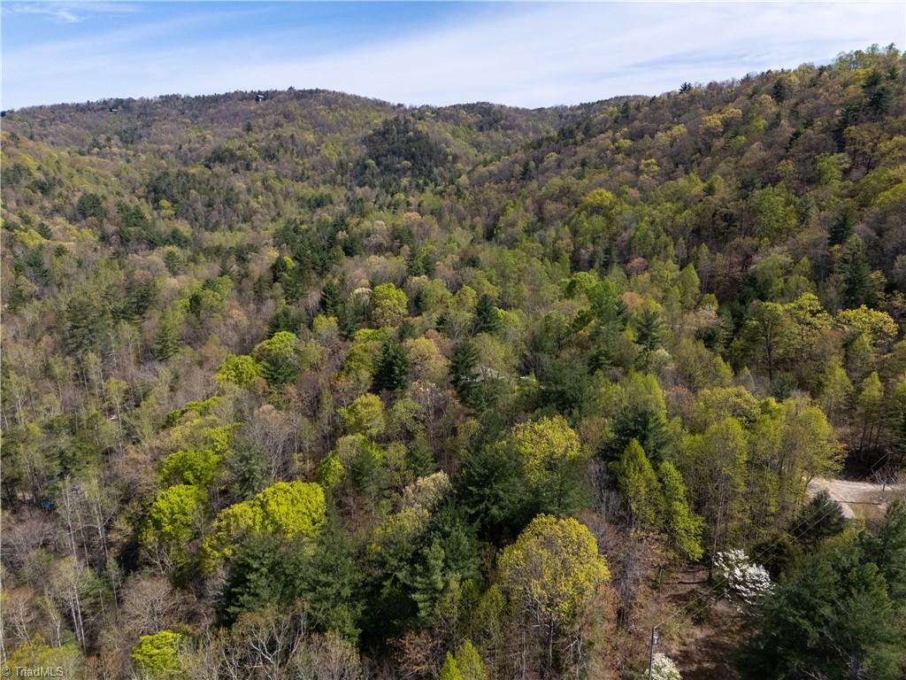 2668 Reedy Branch Road, Purlear, North Carolina image 3