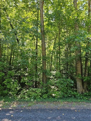 408 PAYNE RD, LEXINGTON, NC 27295 - Image 8770dfc8dfe8fd42191332b170227c1f/819953337