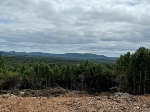 Vacant Land For Sale - Woodfield Drive<br/> Sophia, NC 27350