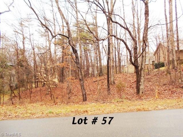 #57 Indian Trail, Eden, North Carolina image 1