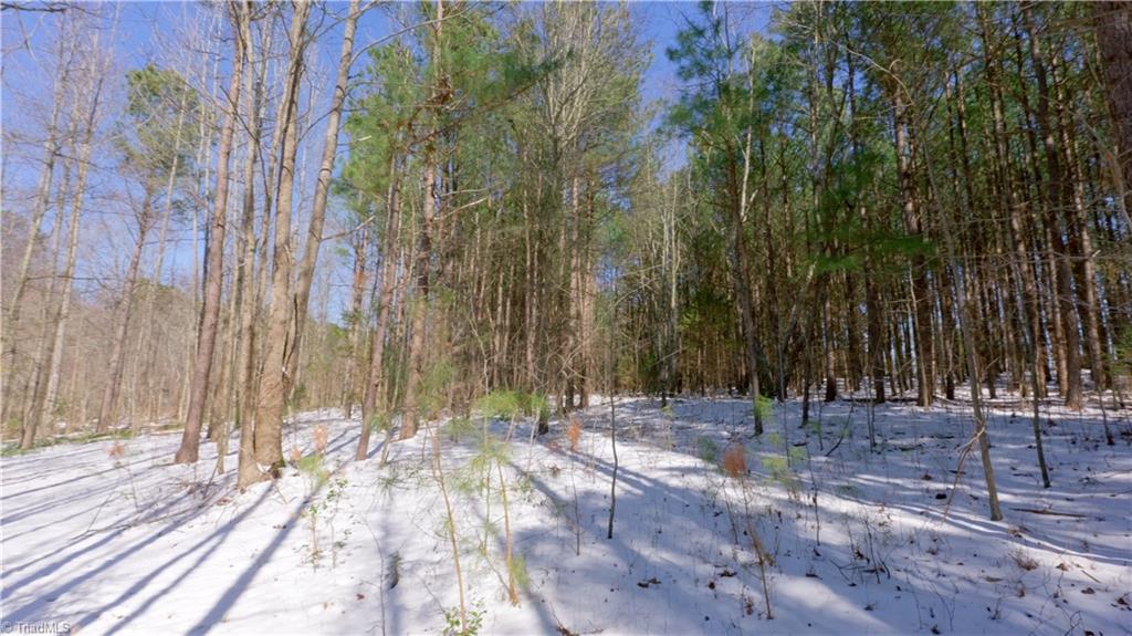 6509 Fowler Road, Zebulon, North Carolina image 36