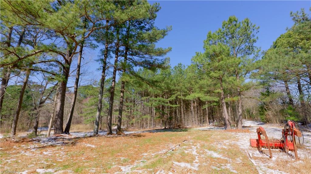 6509 Fowler Road, Zebulon, North Carolina image 34