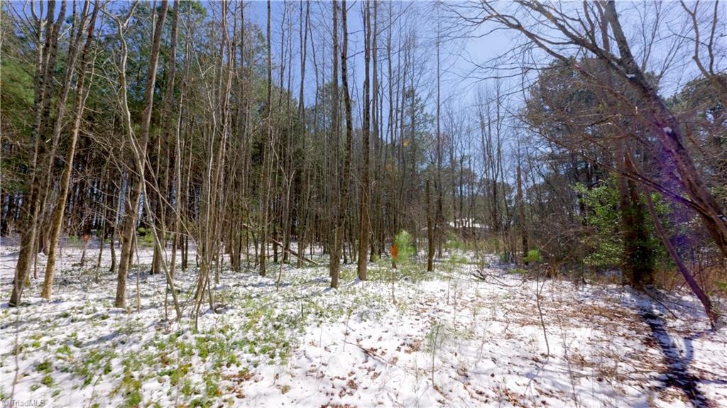 6509 Fowler Road, Zebulon, North Carolina image 29