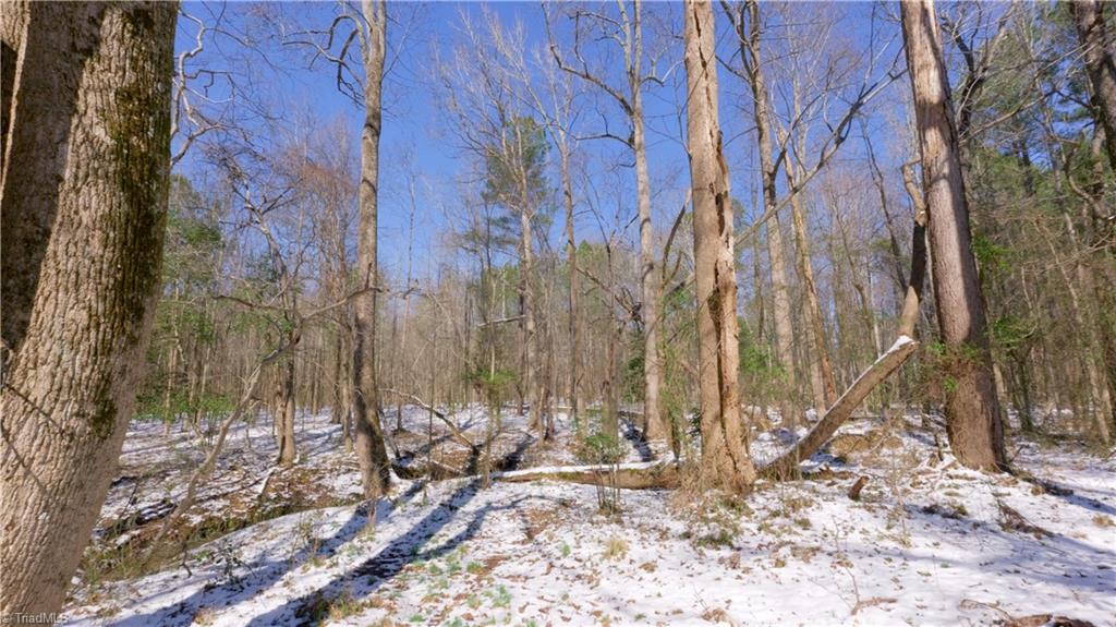 6509 Fowler Road, Zebulon, North Carolina image 25