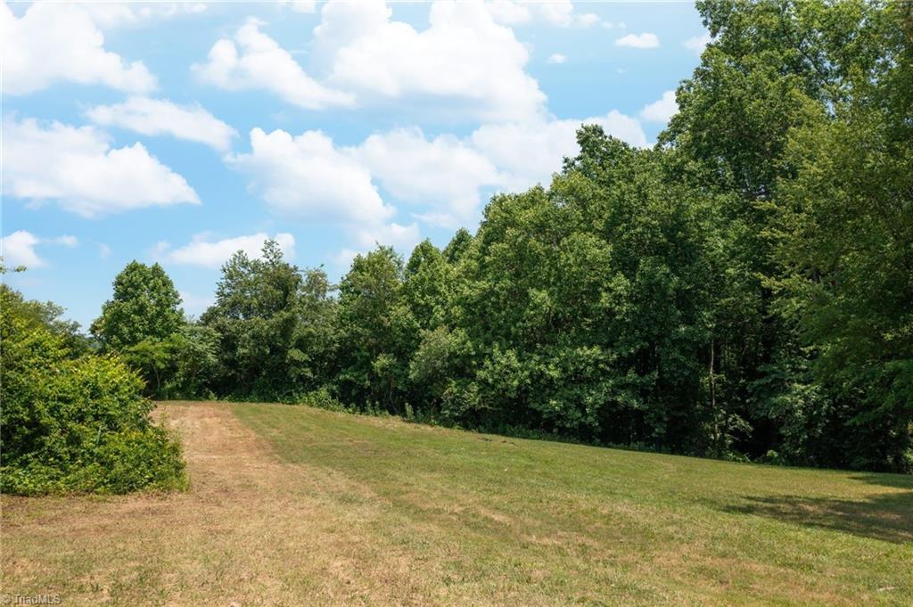 1024 Salmons Drive, Yadkinville, North Carolina image 38