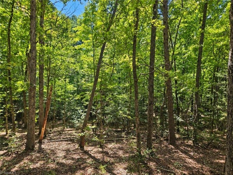 Vacant Land For Sale - 236 Sugar Loaf Road<br/> Troy, NC 27371