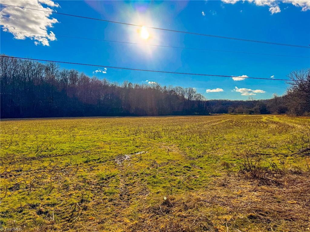 000 River Ridge Road, Pfafftown, North Carolina image 3