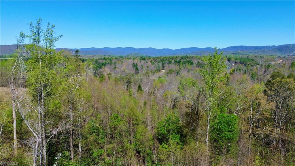 1136 Bauguess Mill Road, Traphill, North Carolina image 25