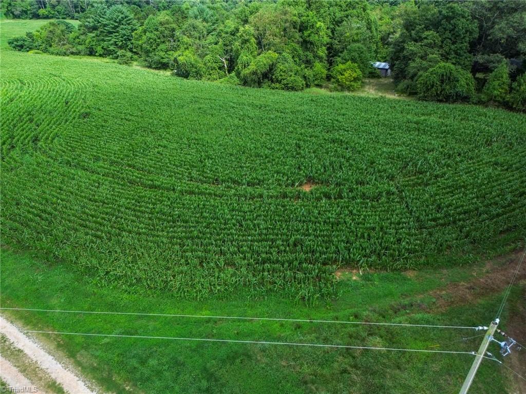 264 Mckinley Road, Roaring River, North Carolina image 24
