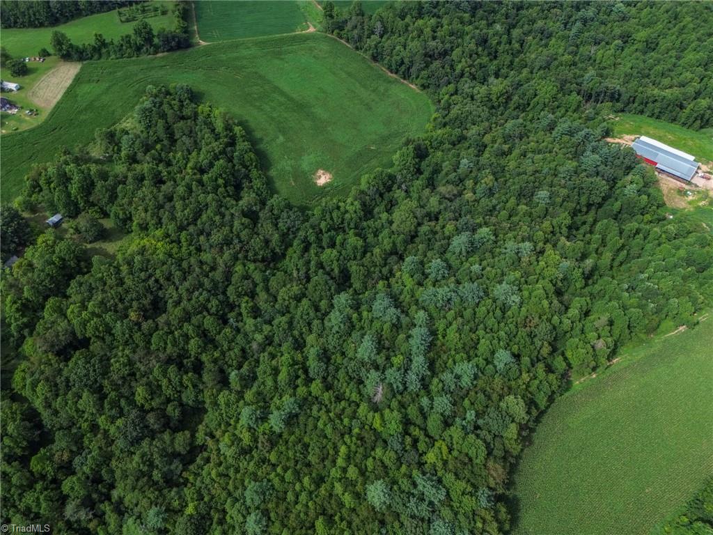 264 Mckinley Road, Roaring River, North Carolina image 18