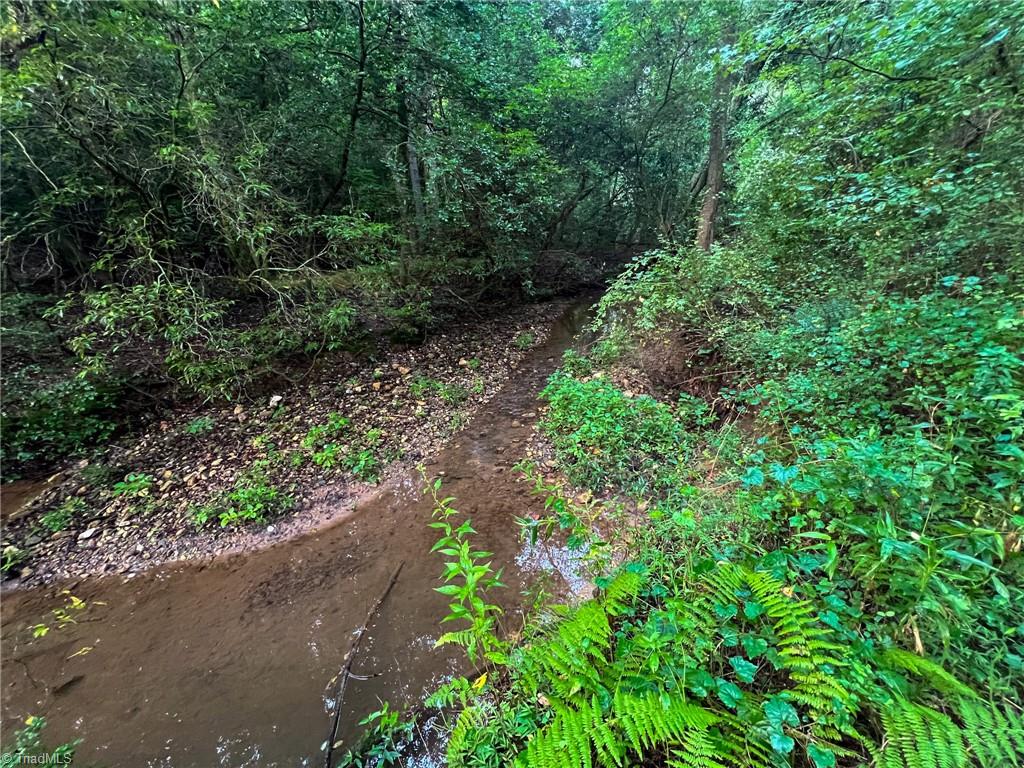 264 Mckinley Road, Roaring River, North Carolina image 9