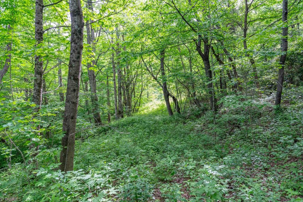 Sapphire Lane, Blowing Rock, North Carolina image 24