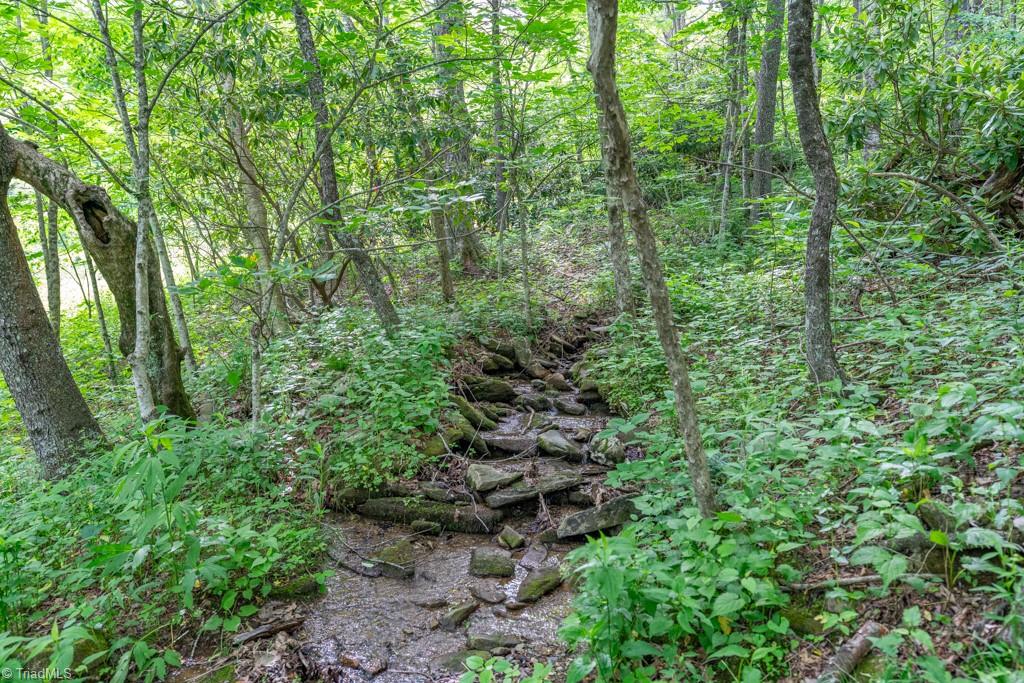 Sapphire Lane, Blowing Rock, North Carolina image 26