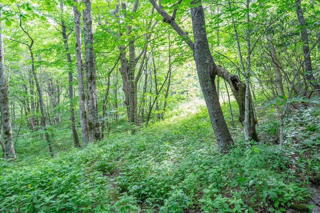 Sapphire Lane, Blowing Rock, North Carolina image 29