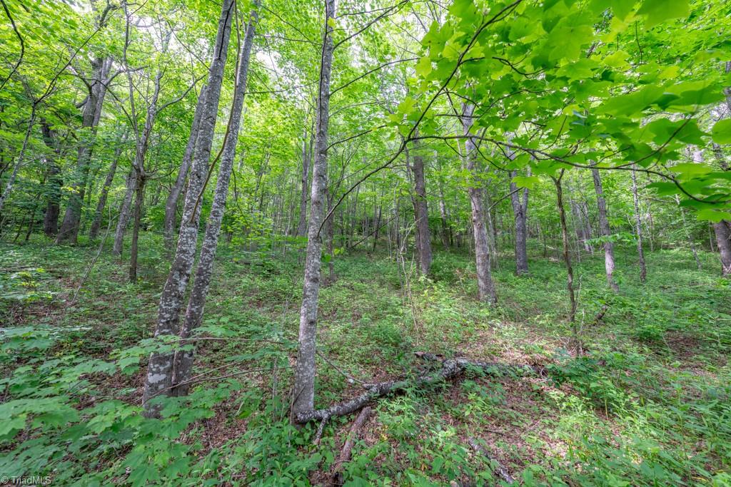 Sapphire Lane, Blowing Rock, North Carolina image 25