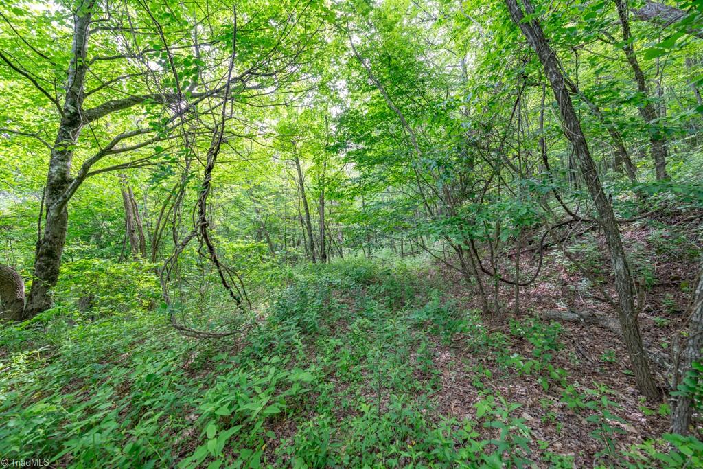 Sapphire Lane, Blowing Rock, North Carolina image 33