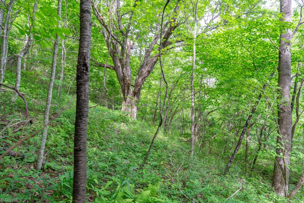 Sapphire Lane, Blowing Rock, North Carolina image 22