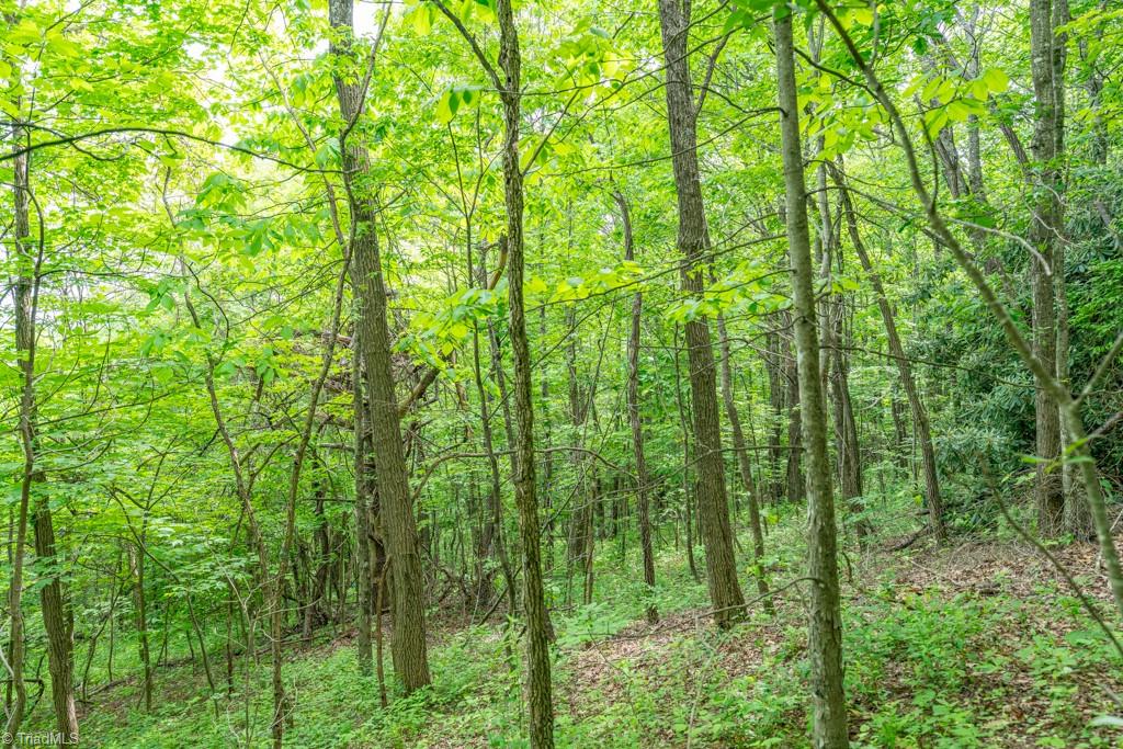 Sapphire Lane, Blowing Rock, North Carolina image 19