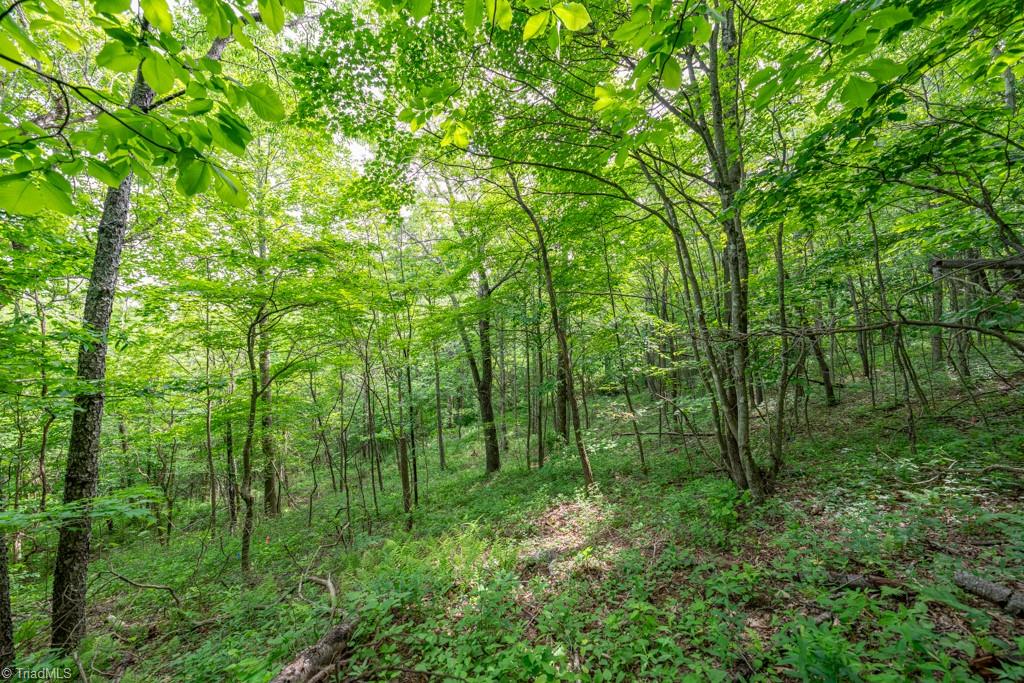 Sapphire Lane, Blowing Rock, North Carolina image 36