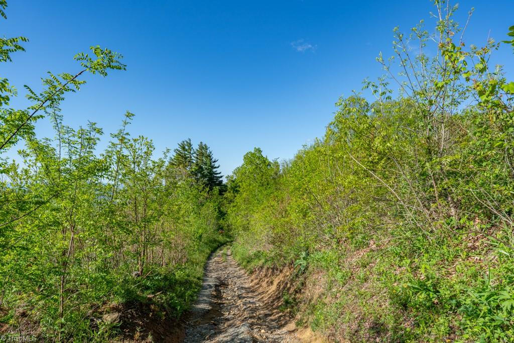 Sapphire Lane, Blowing Rock, North Carolina image 17