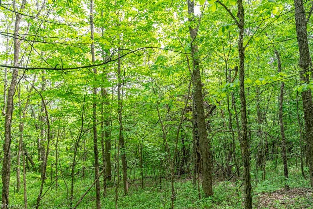 Sapphire Lane, Blowing Rock, North Carolina image 18