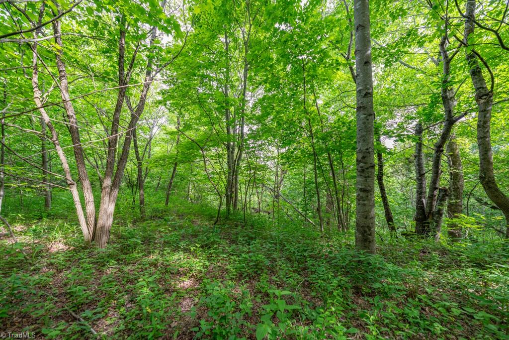 Sapphire Lane, Blowing Rock, North Carolina image 32