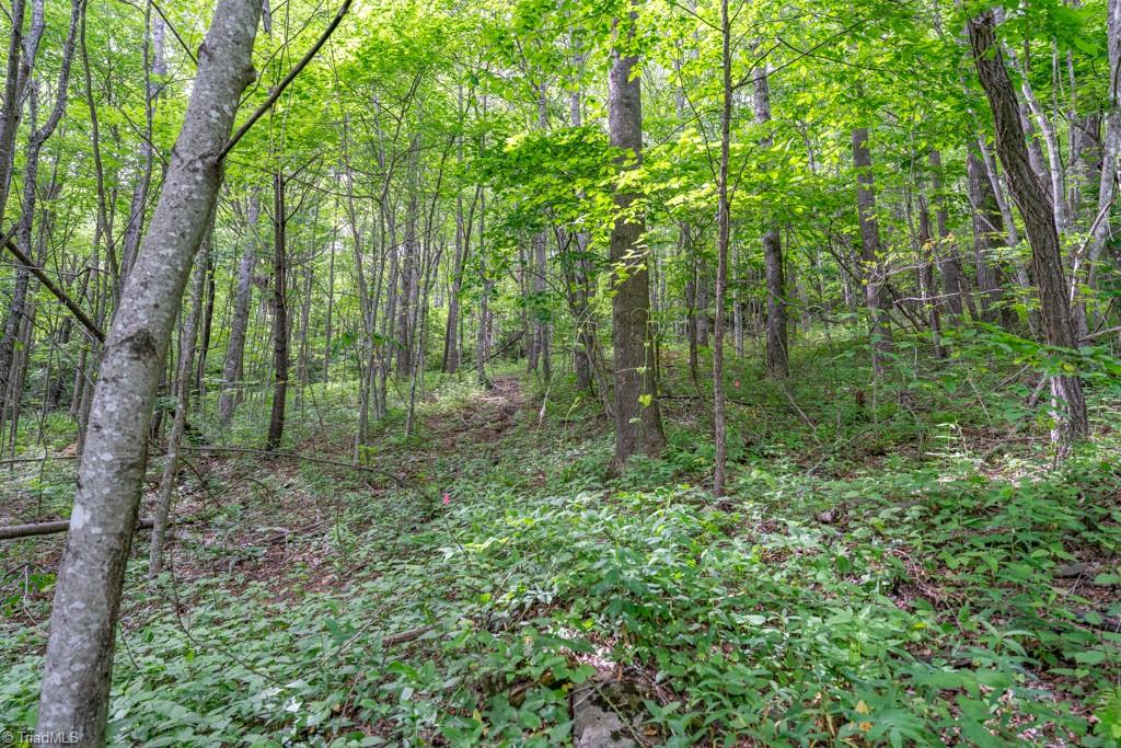 Sapphire Lane, Blowing Rock, North Carolina image 20