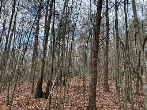 Vacant Land For Sale - LOT 15 Fisher Valley Road<br/> Dobson, NC 27017