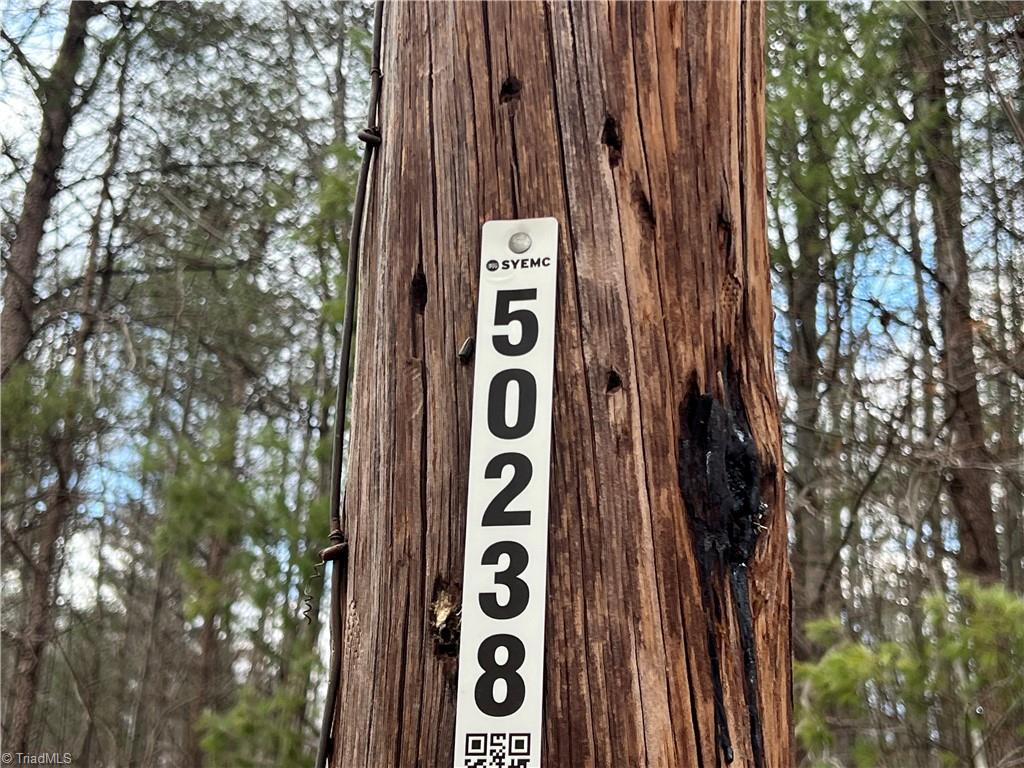 Fisher Valley Road, Dobson, North Carolina image 4