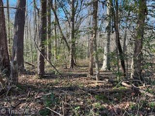 Lot 15 Stevens Drive, Jonesville, North Carolina image 3