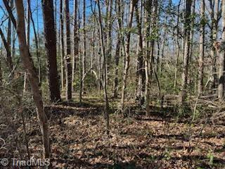 Lot 15 Stevens Drive, Jonesville, North Carolina image 2