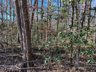 Lot 15 Stevens Drive, Jonesville, North Carolina image 4