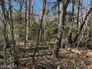 Lot 15 Stevens Drive, Jonesville, North Carolina image 5