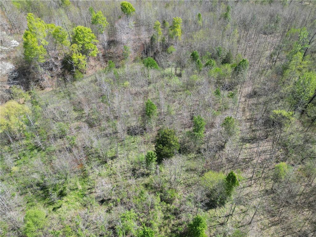 541 Lake Lemar Road, Reidsville, North Carolina image 44