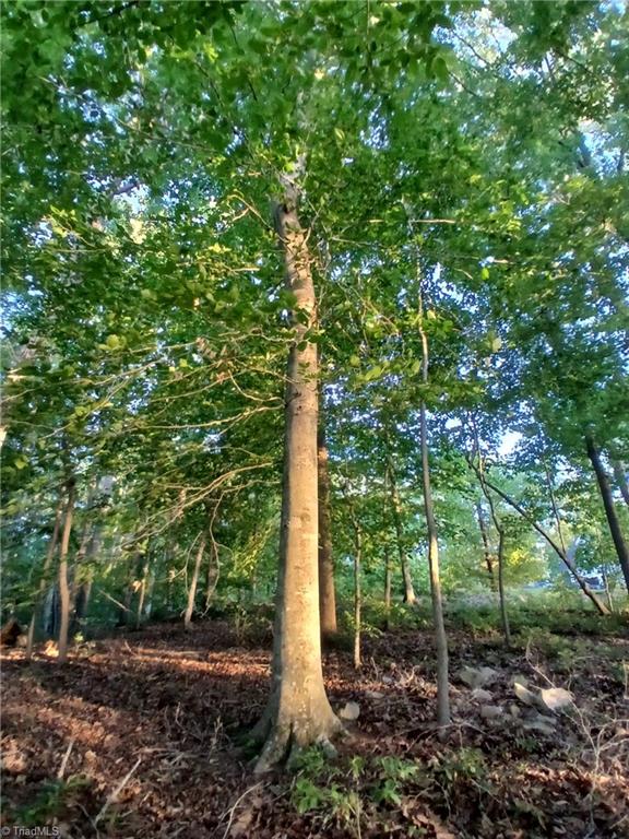 387 Egret Point, Lexington, North Carolina image 10