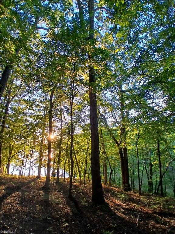 387 Egret Point, Lexington, North Carolina image 12