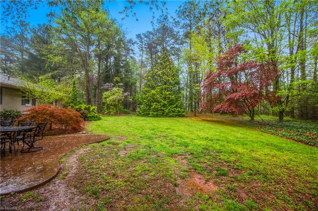 165 Snowberry Lane, Dobson, North Carolina image 20