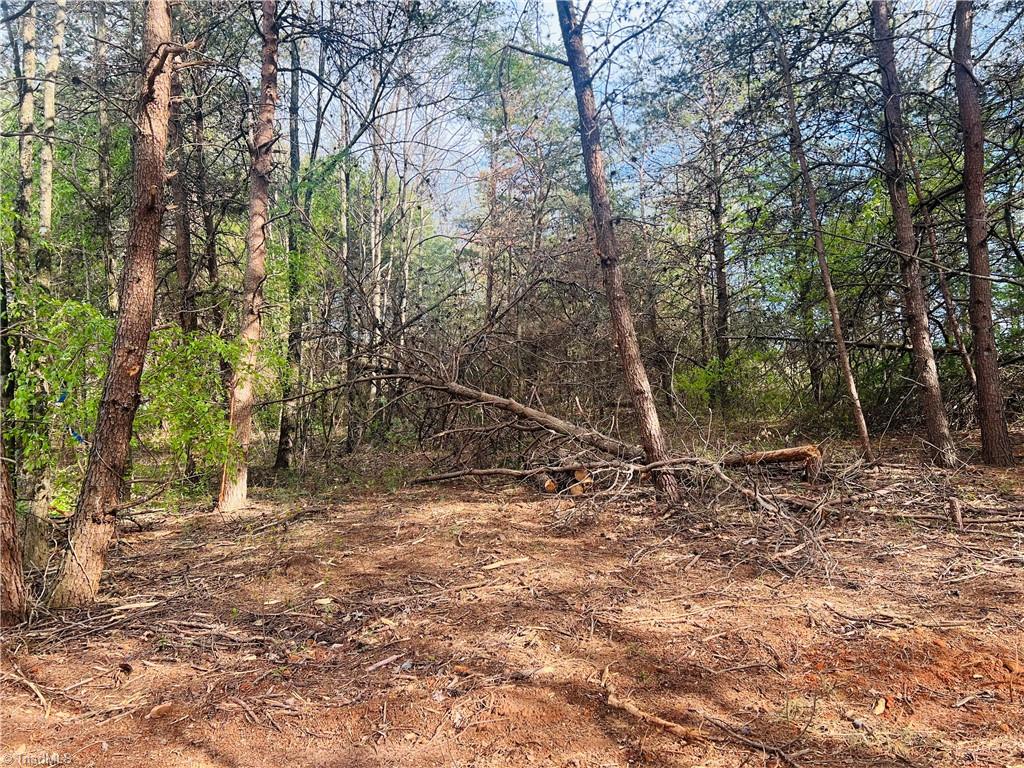 Lot 3 Hunting Creek Church Road, Hamptonville, North Carolina image 2