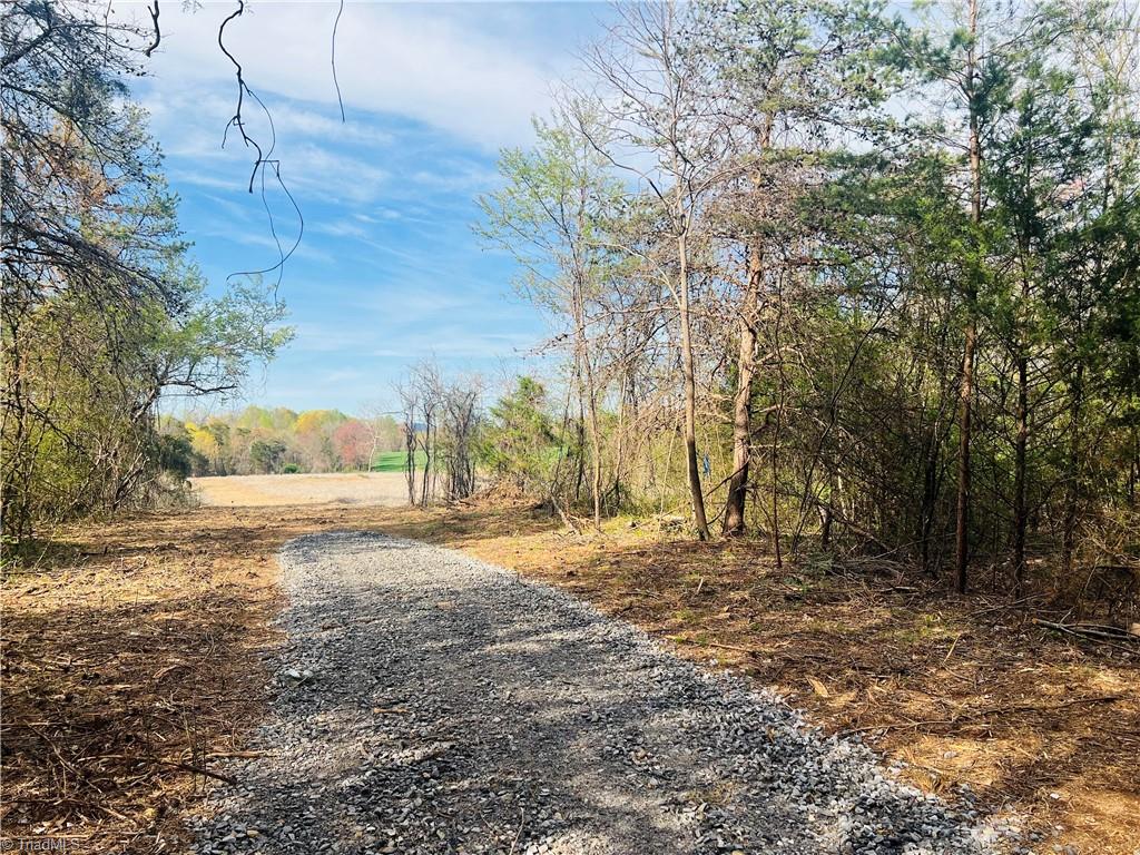 Lot 3 Hunting Creek Church Road, Hamptonville, North Carolina image 3